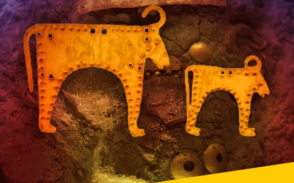 455676807_1020762799837924_790146522682213672_n